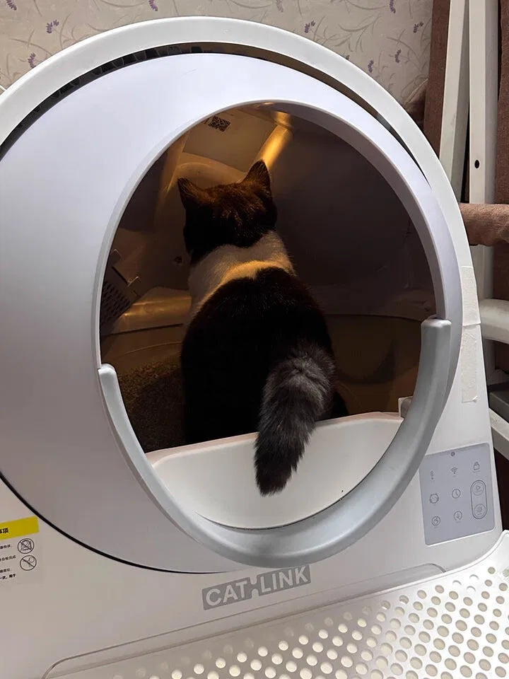 CATLINK Pro-X Ultra kissanhiekkalaatikko 13 l kameralla