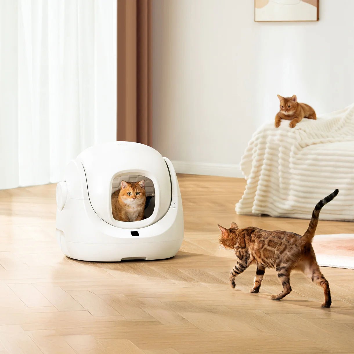 CATLINK Baymax itsepuhdistuva kissanhiekkalaatikko sakura ramppi