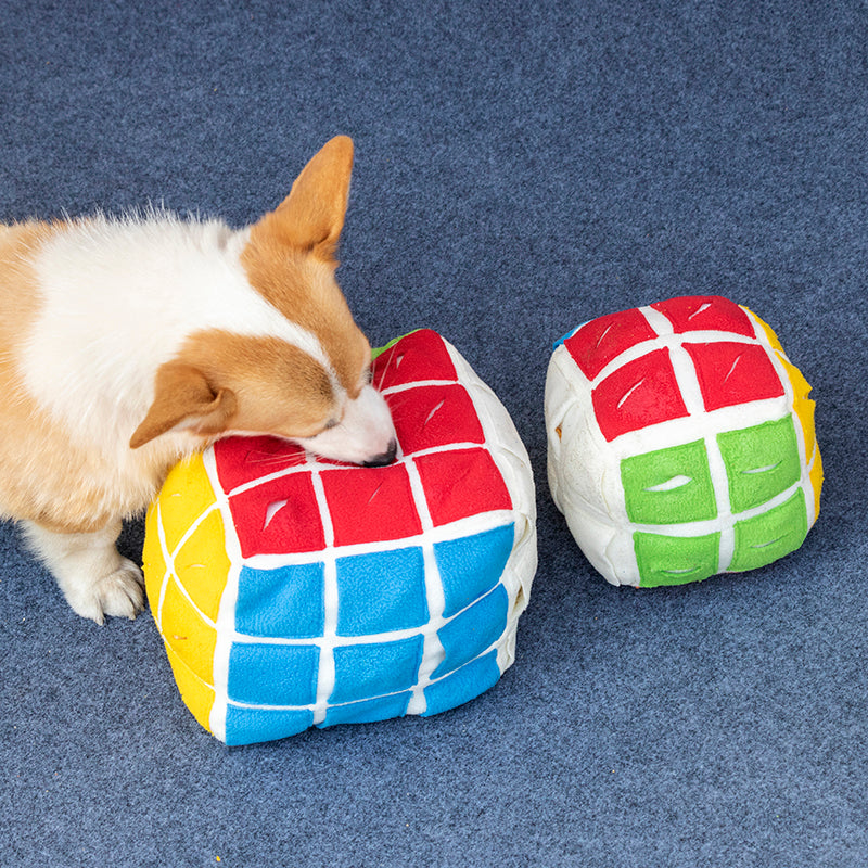 Miaouplay Cube de Fouille nuuskukuutio koiralle 15 cm herkkupiilo