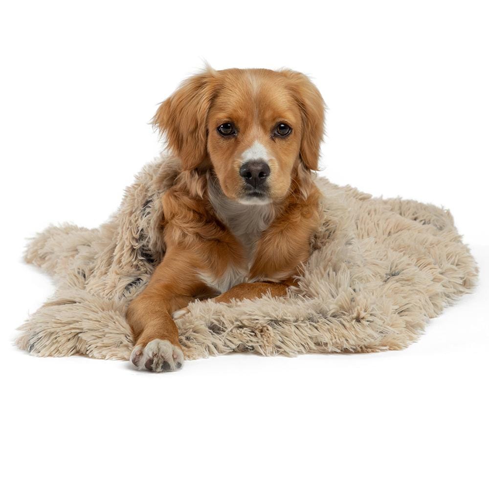 Best Friends By Sheri Shag Throw viltti lemmikille taupe