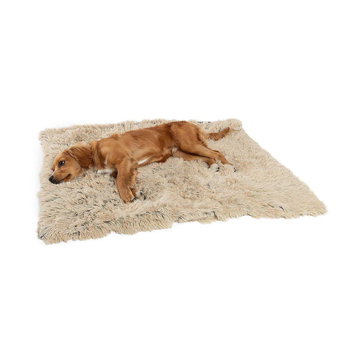 Best Friends By Sheri Shag Throw viltti lemmikille taupe