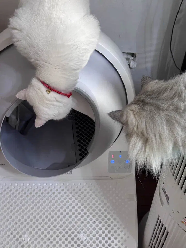 CATLINK Pro-X Ultra kissanhiekkalaatikko 13 l kameralla