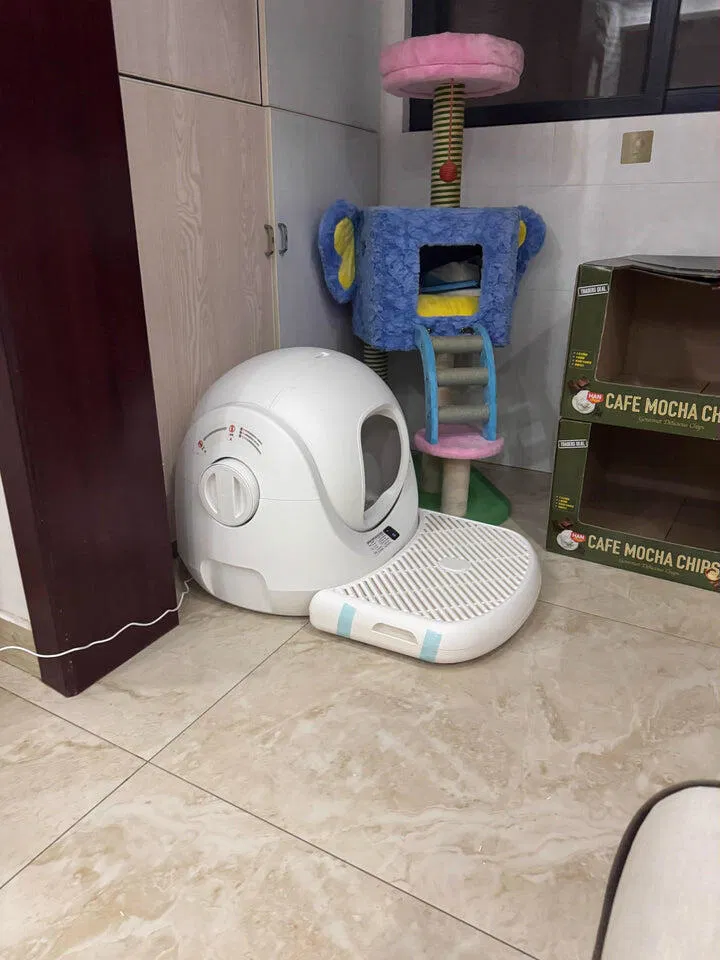CATLINK Baymax itsepuhdistuva kissanhiekkalaatikko valkoinen roosa