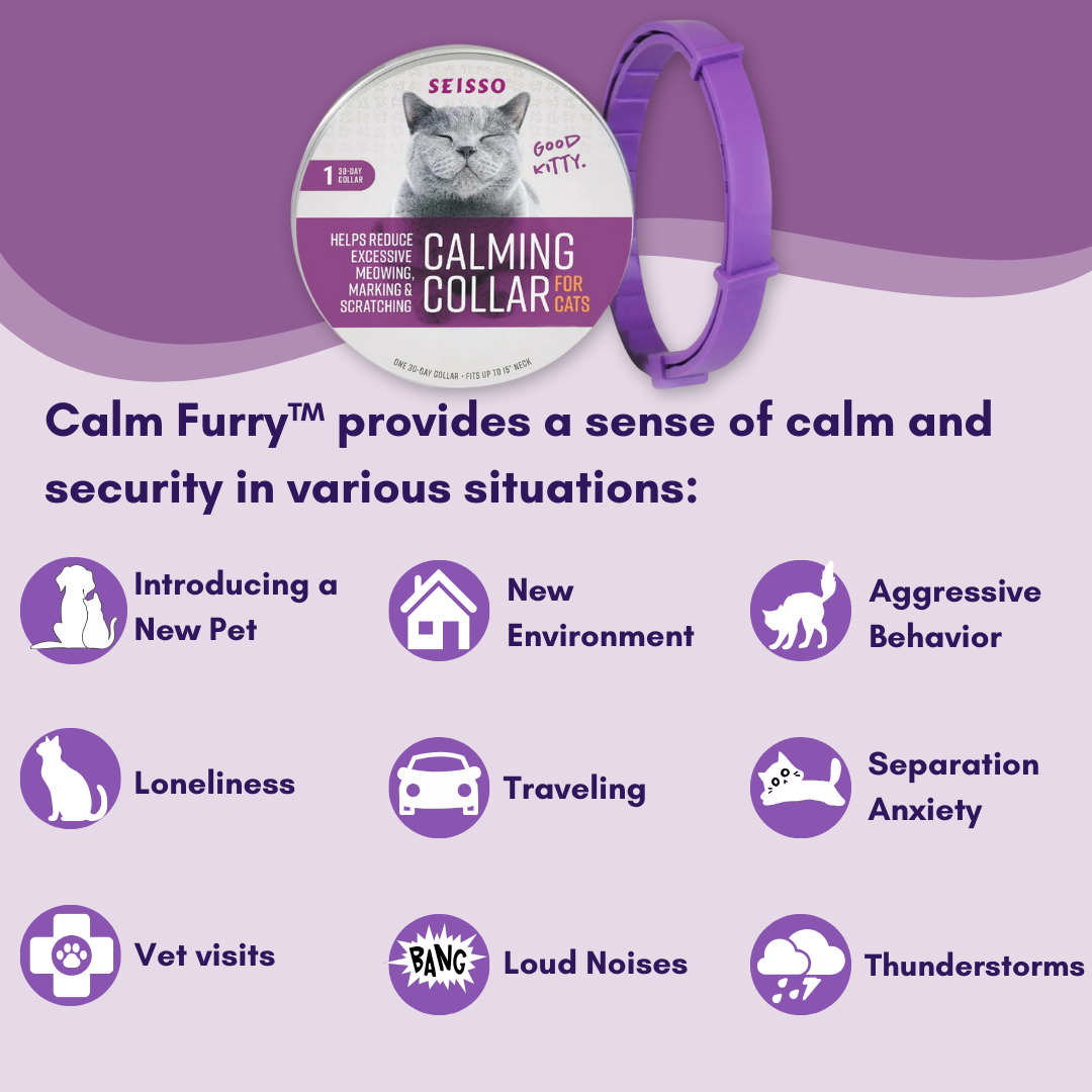 Felinoir CalmFurry feromonipanta kissalle rauhoittava