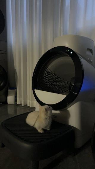 CATLINK Scoop Robot C07 itsepuhdistuva kissanhiekkalaatikko ramppi