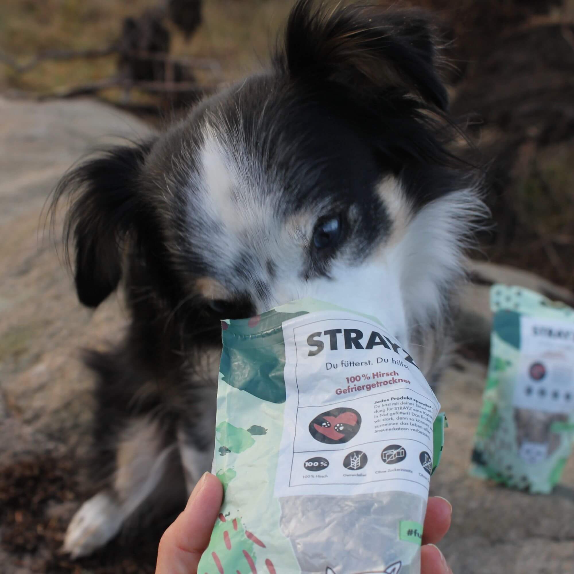 STRAYZ 100 % Hirsch kissan ja koiran herkku hirvi viljaton