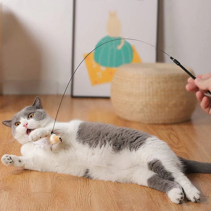 Purrbowl interaktiivinen lintulelu kissan lelu