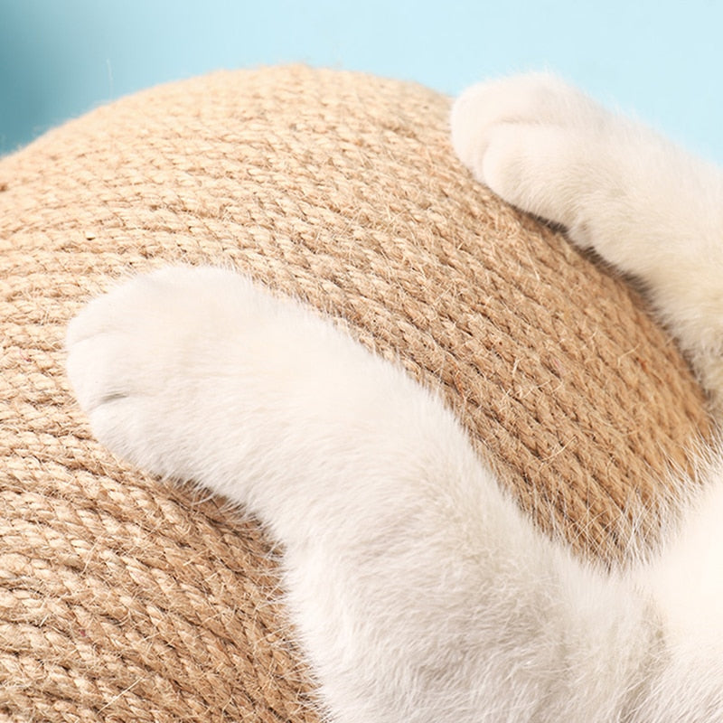 Purrbowl Orb kissanraapija Small pallo