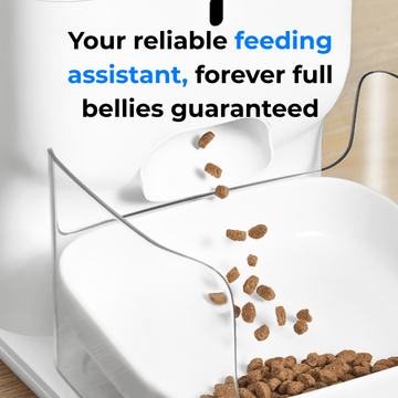 CATLINK F04 RFID Fresh 2 Luxury ruoka-automaatti 4 l keraaminen