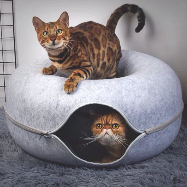 Purrbowl Donut kissaluola kissalle huopa 3-in-1