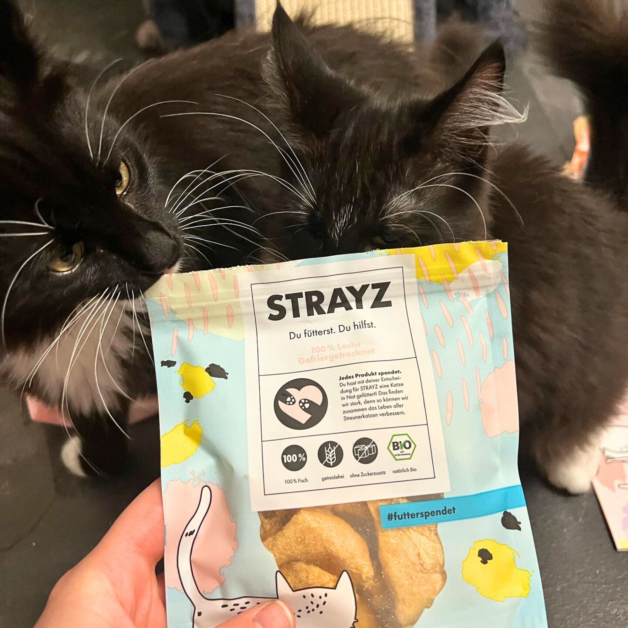 STRAYZ 100% Lohi pakastekuivattu herkku kissalle ja koiralle