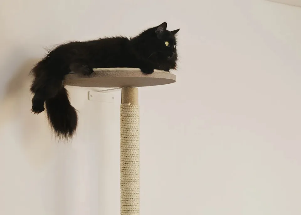 Paksu kissa ISO PUU lepotaso pyöreä 40 cm koivuvaneri