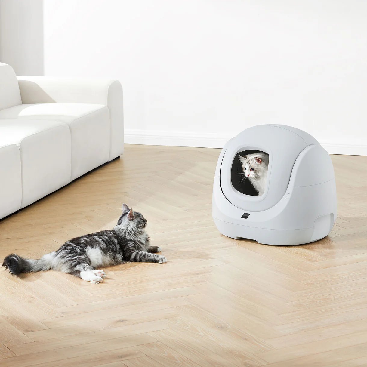 CATLINK Baymax Lite itsepuhdistuva hiekkalaatikko harmaa
