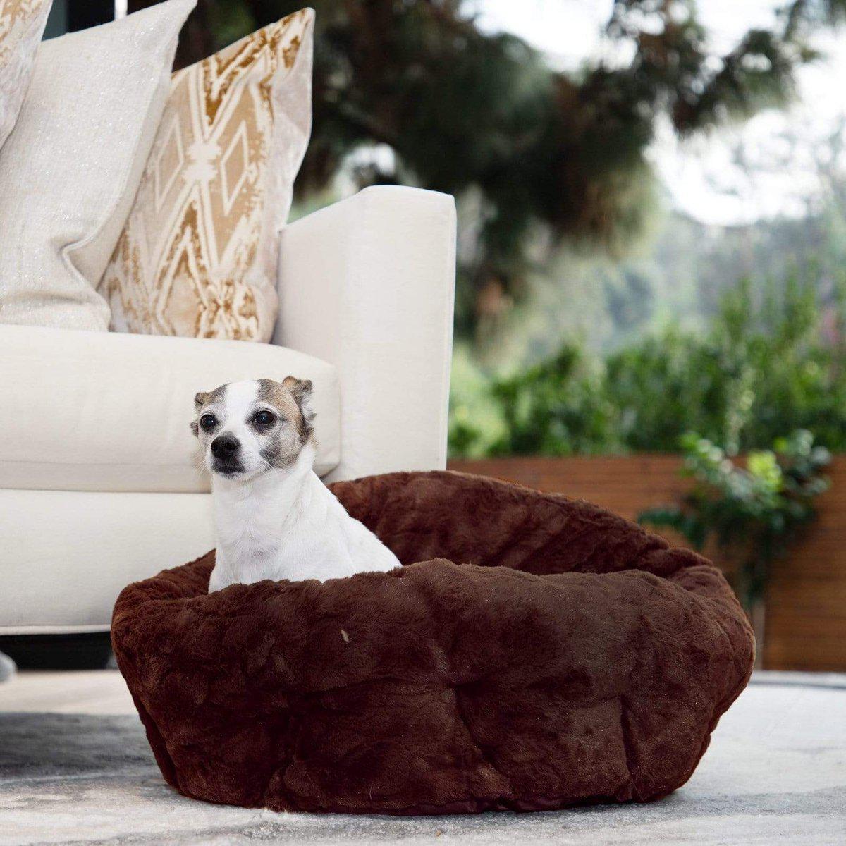 Best Friends by Sheri Lux Deep Dish Cuddler koiranpeti gray