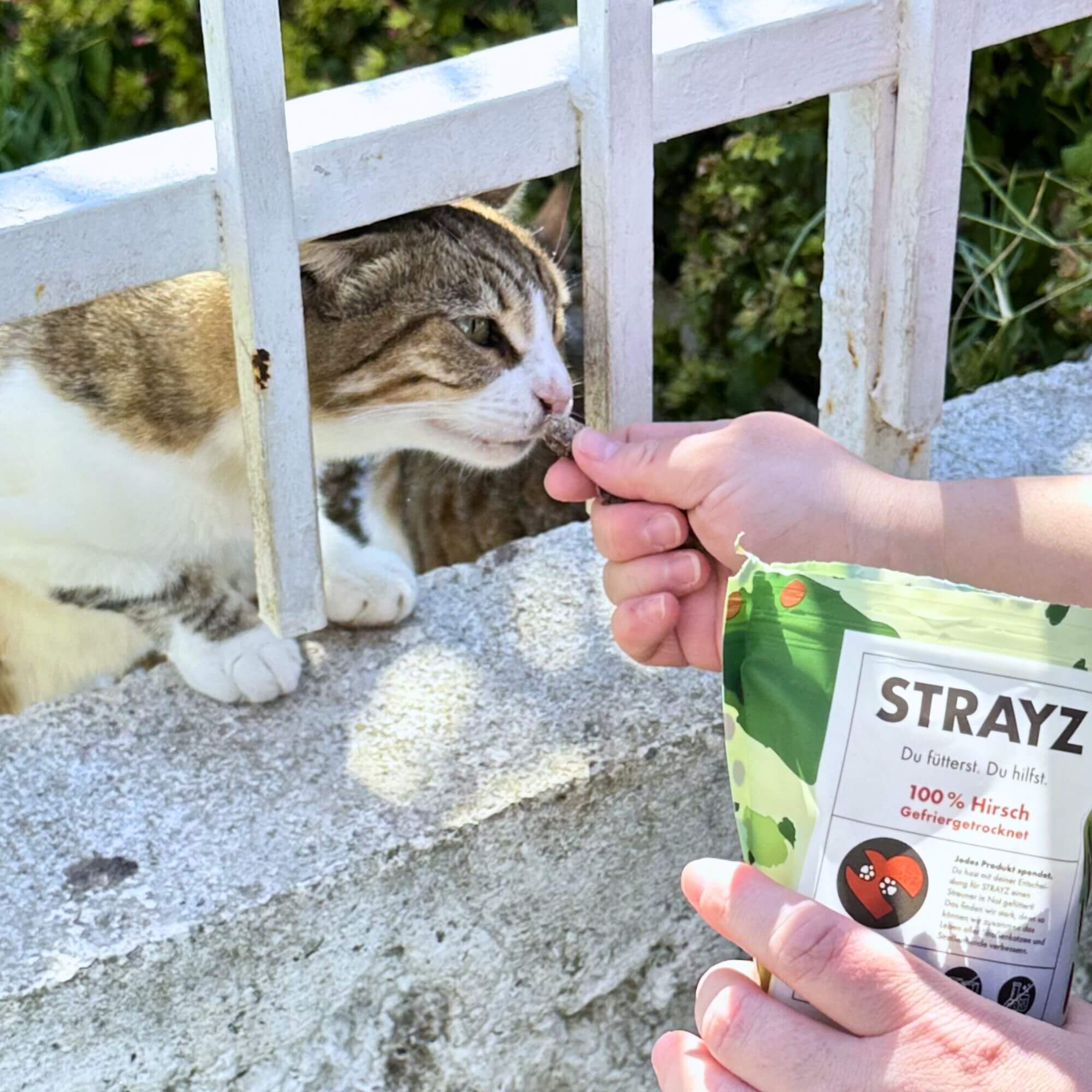 STRAYZ 100 % Hirsch kissan ja koiran herkku hirvi viljaton