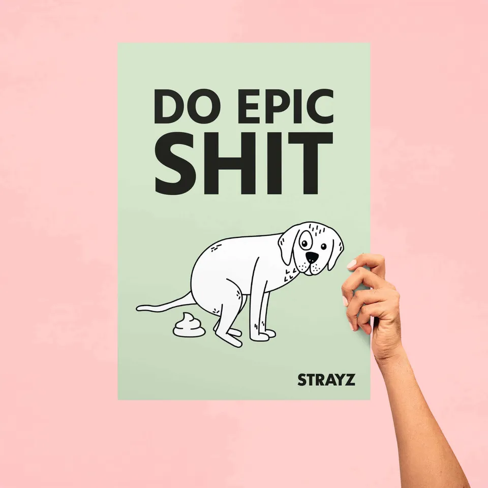 STRAYZ Do Epic Shit koirajuliste A3