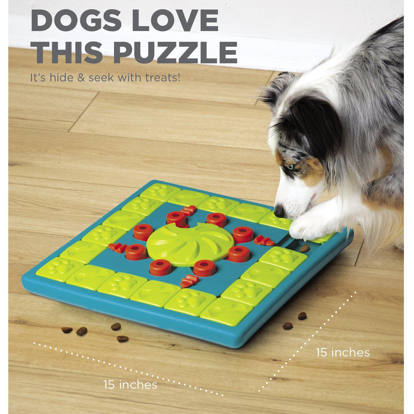 Best Friends By Sheri MultiPuzzle koiralelu Blue taso 3 haastava