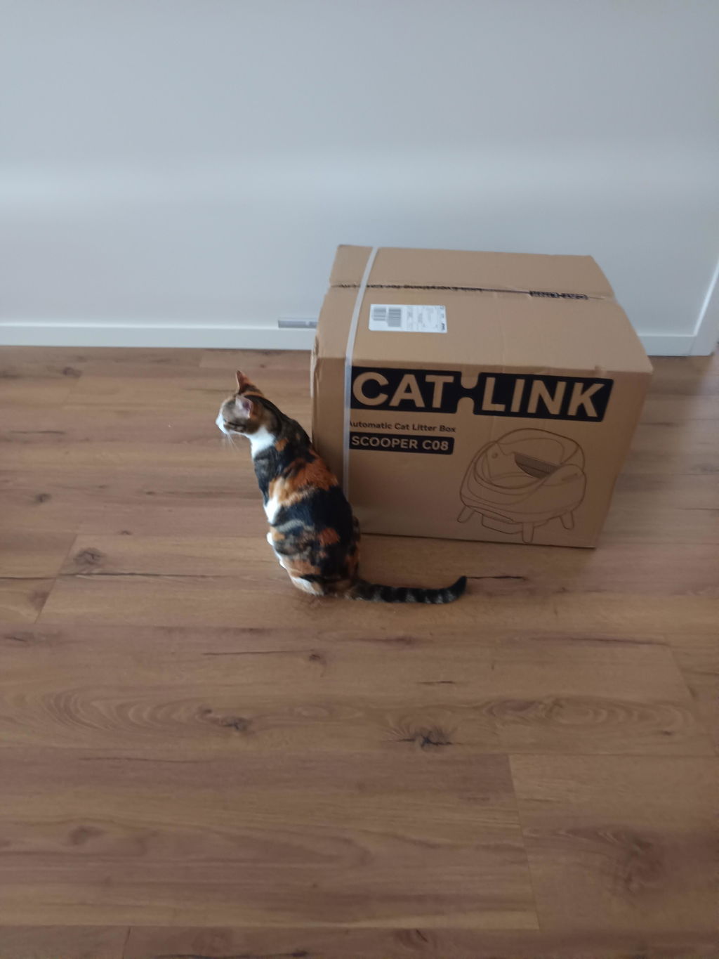 CATLINK Open-X itsepuhdistuva kissanhiekkalaatikko valkoinen avoin