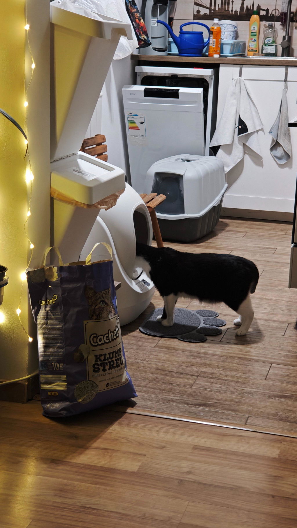 CATLINK Baymax itsepuhdistuva kissanhiekkalaatikko valkoinen roosa