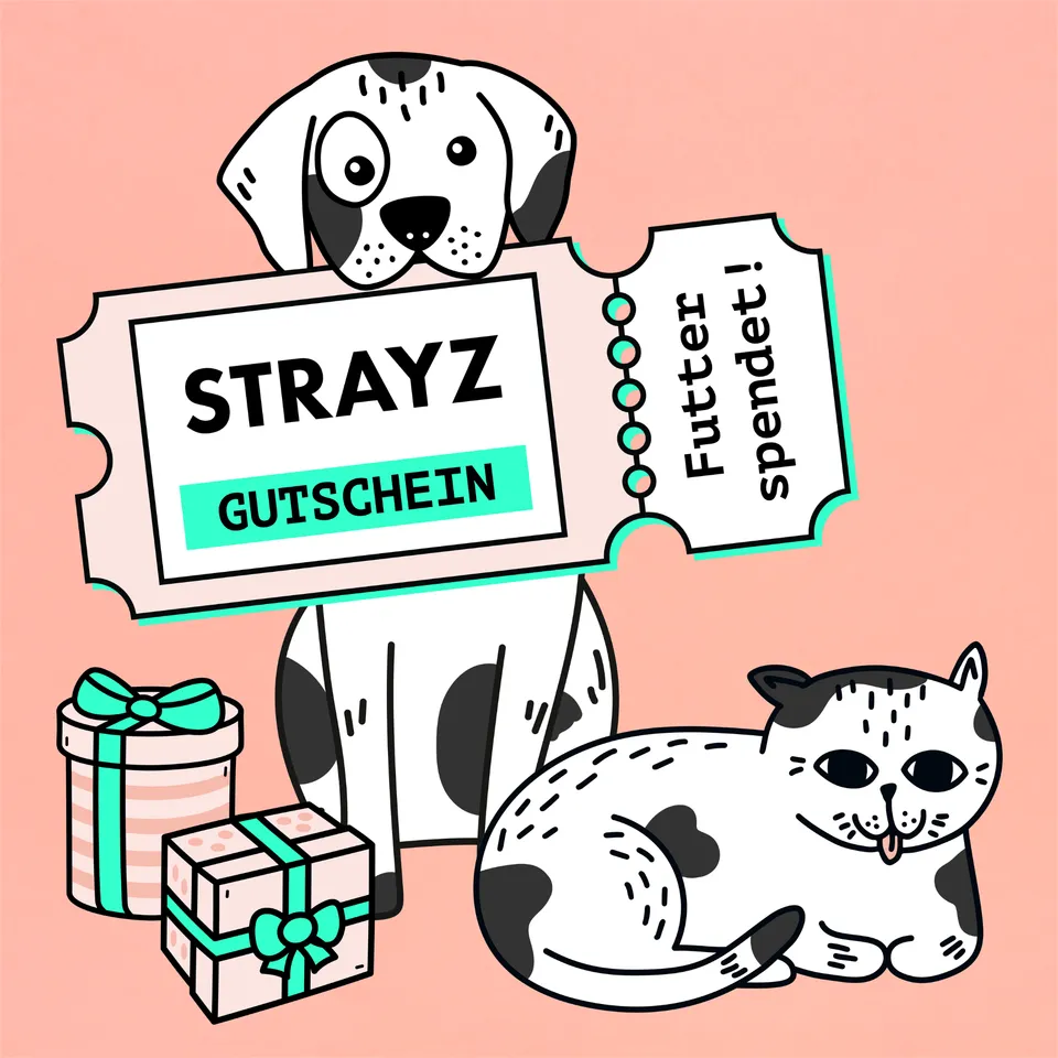 STRAYZ lahjakortti lemmikkitarvikkeisiin 10 €