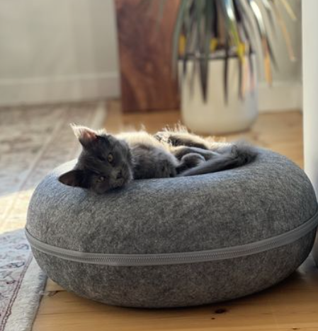 Purrbowl Donut kissaluola kissalle huopa 3-in-1