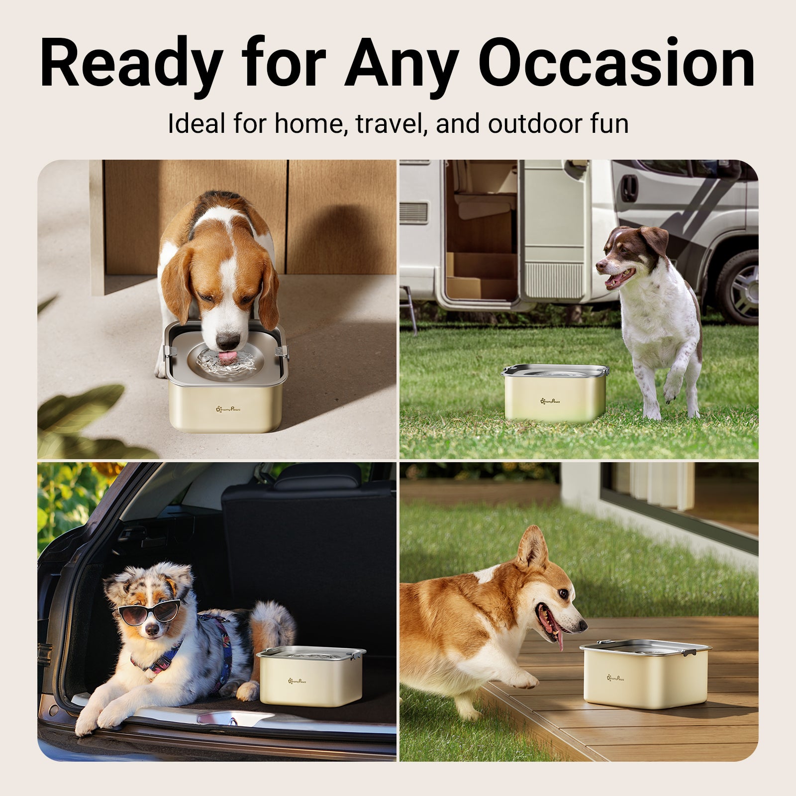 Downypaws No Spill koiran vesikuppi beige roiskumaton
