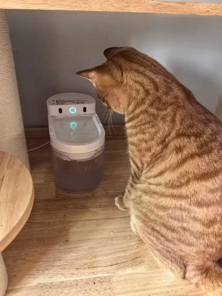 CATLINK W03 juomalähde kissalle langaton 2,3 l hiljainen
