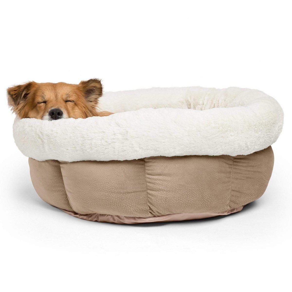Best Friends By Sheri Ilan Cuddle Cup peti Jumbo tide pool