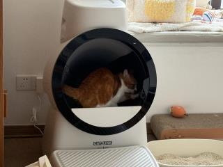 CATLINK Scoop Robot C07 itsepuhdistuva kissanhiekkalaatikko ramppi