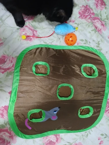 Miaouplay 9 reikää hiirimatto kissan lelu vihreä