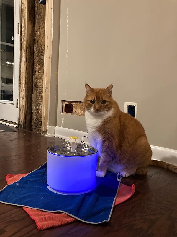 Purrbowl PurrHydration vesilähde kissalle 2,5 l hiljainen