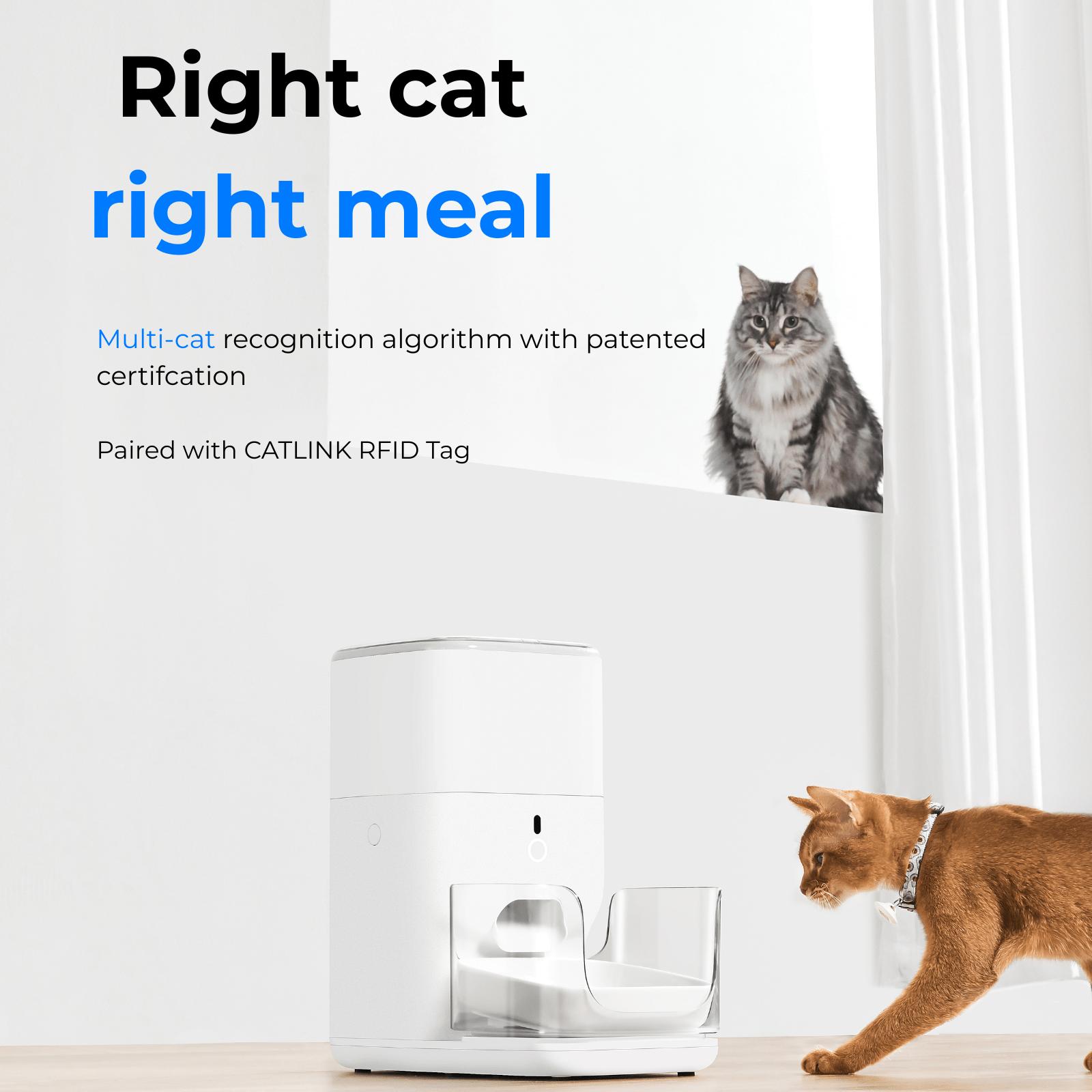 CATLINK Fresh 2 F04 RFID ruoka-automaatti 4 l