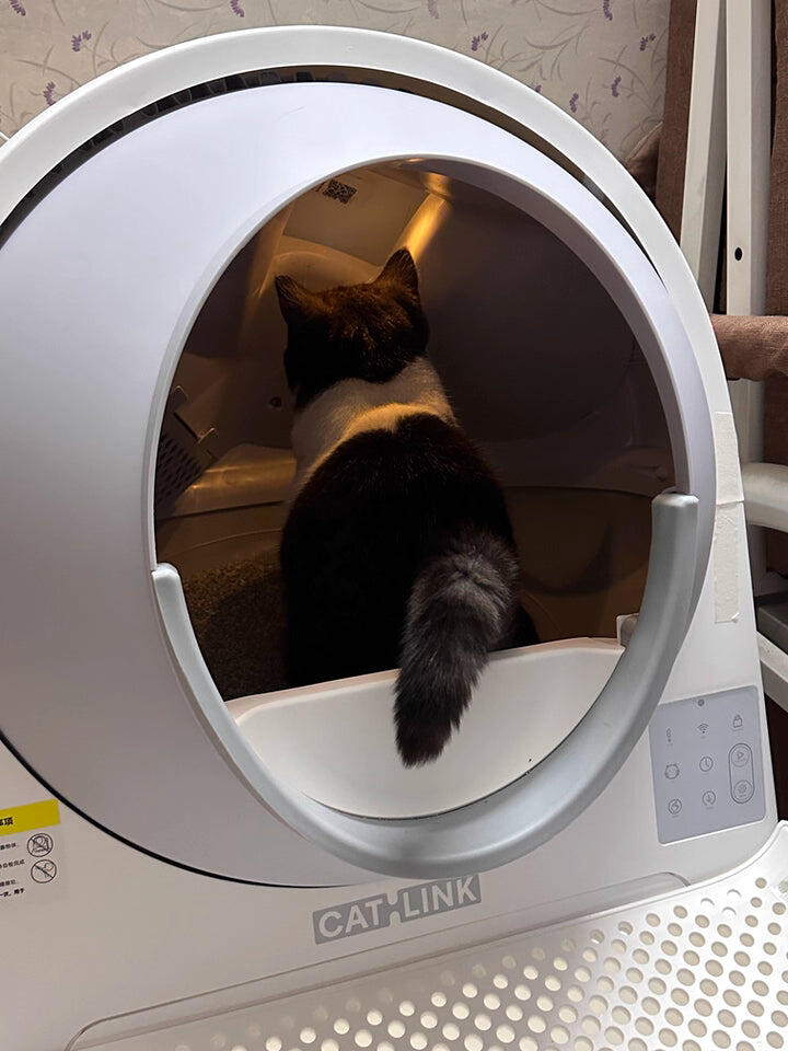 CATLINK Pro-X Ultra kissanhiekkalaatikko 13 l kameralla