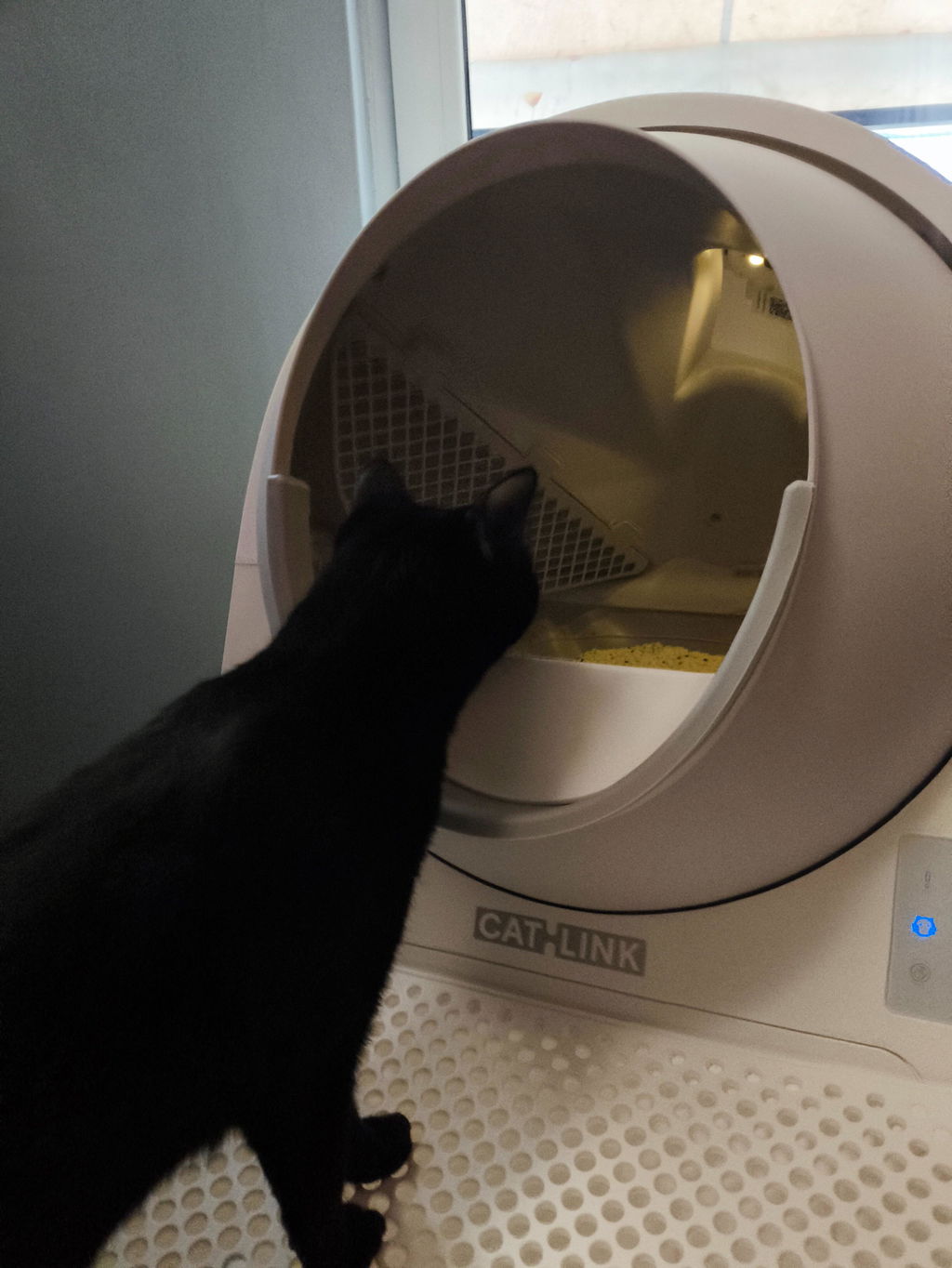CATLINK Pro-X Luxury kissanhiekkalaatikko rampilla UV-puhdistus