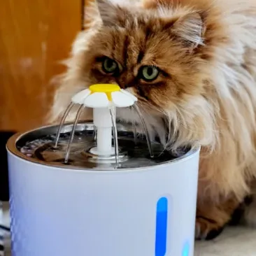 Purrbowl PurrHydration juomalähde kissalle 2,5 l hiljainen