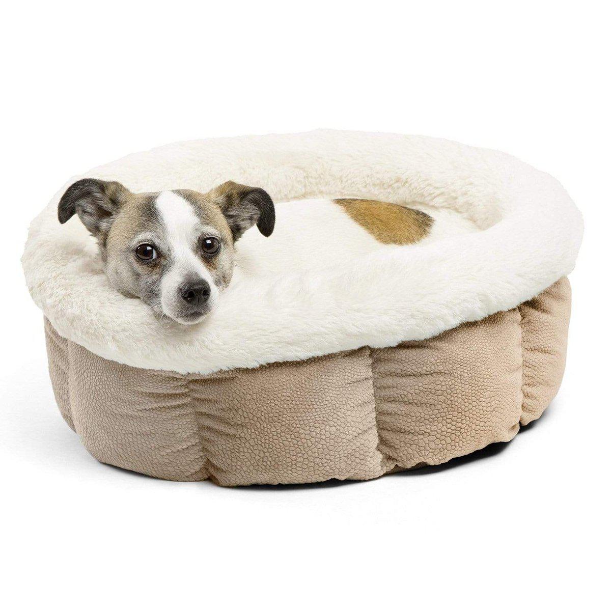 Best Friends by Sheri Cozy Ilan Cuddle Cup kissanpeti gray