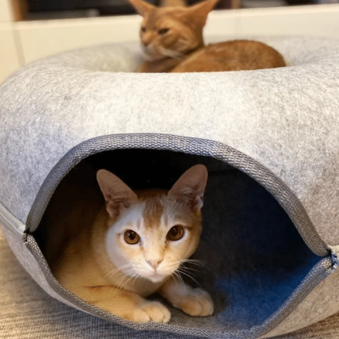 Purrbowl Donut kissaluola kissalle huopa 3-in-1