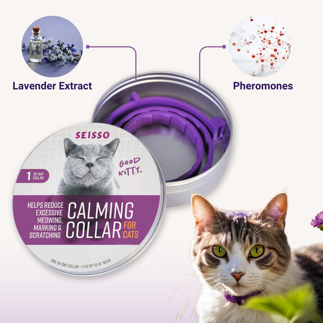 Felinoir CalmFurry feromonipanta kissalle rauhoittava