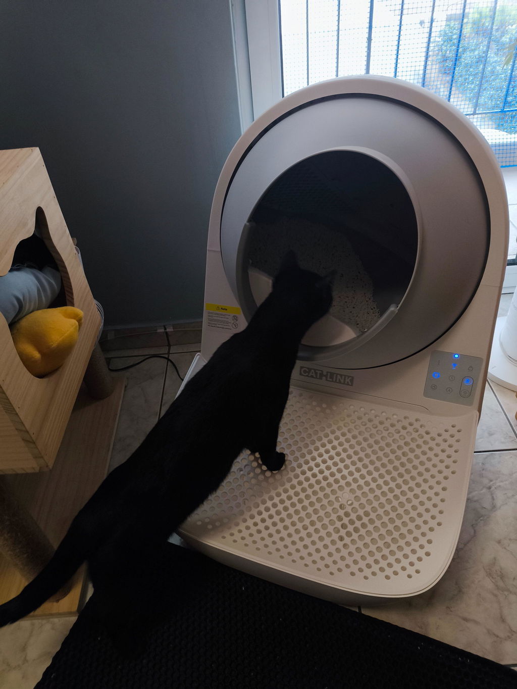 CATLINK Pro-X Luxury kissanhiekkalaatikko rampilla UV-puhdistus