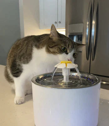 Purrbowl PurrHydration vesilähde kissalle 2,5 l hiljainen