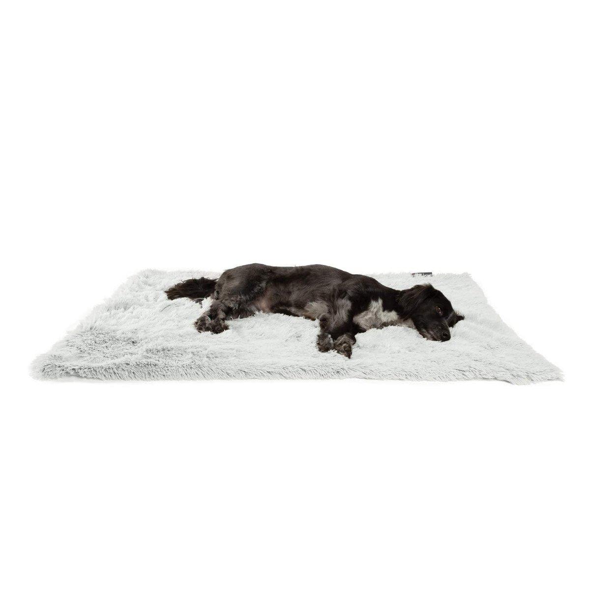 Best Friends By Sheri Shag Throw viltti lemmikille taupe