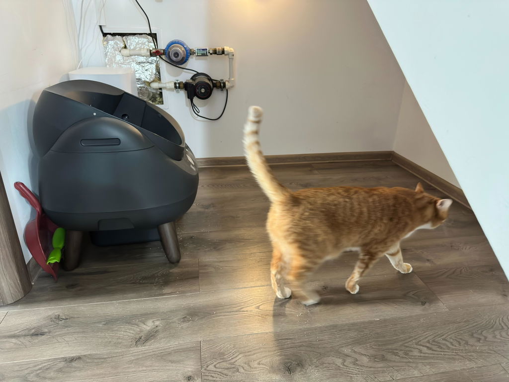 CATLINK Open-X itsepuhdistuva kissanhiekkalaatikko valkoinen avoin