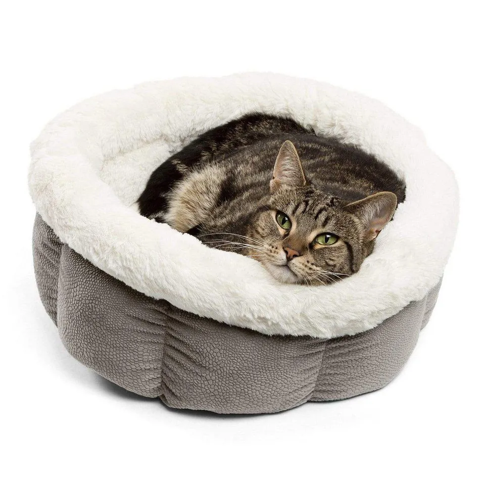 Best Friends by Sheri Cozy Ilan Cuddle Cup kissanpeti gray