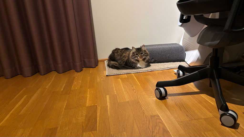CATLINK Pro-X Ultra kissanhiekkalaatikko 13 l kameralla