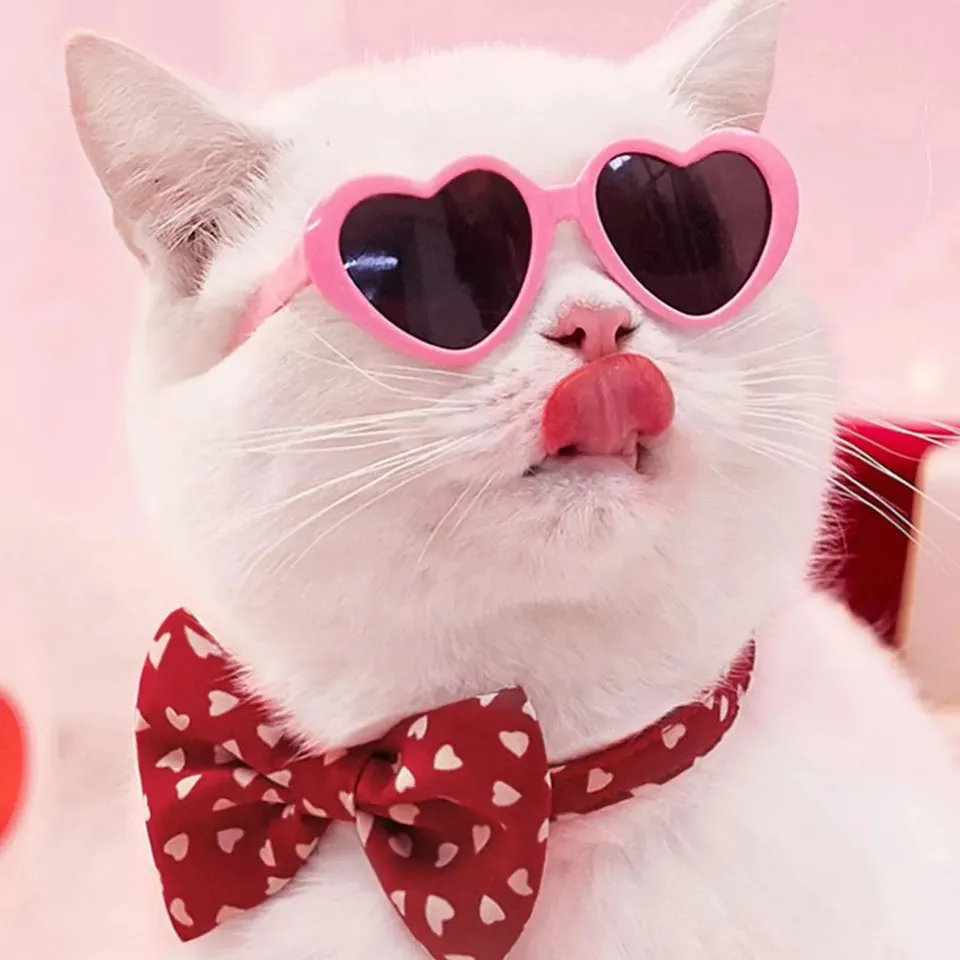 Felinoir Pet Doll lemmikin aurinkolasit valokuvaukseen pyöreä