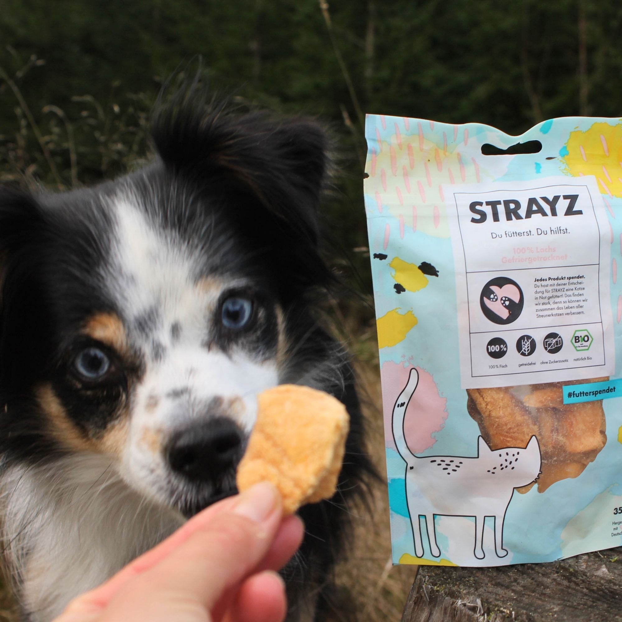 STRAYZ 100% Lohi pakastekuivattu herkku kissalle ja koiralle