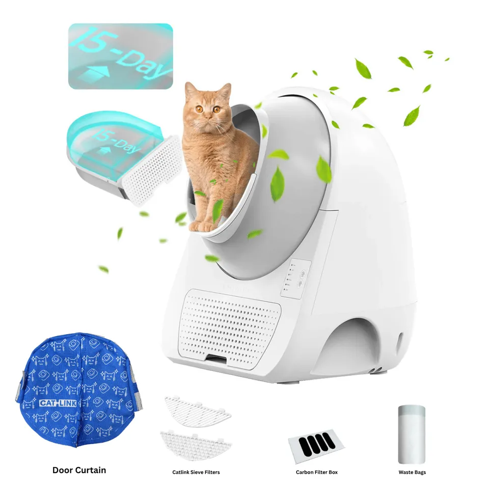 CATLINK Young itsepuhdistuva kissanhiekkalaatikko rampilla