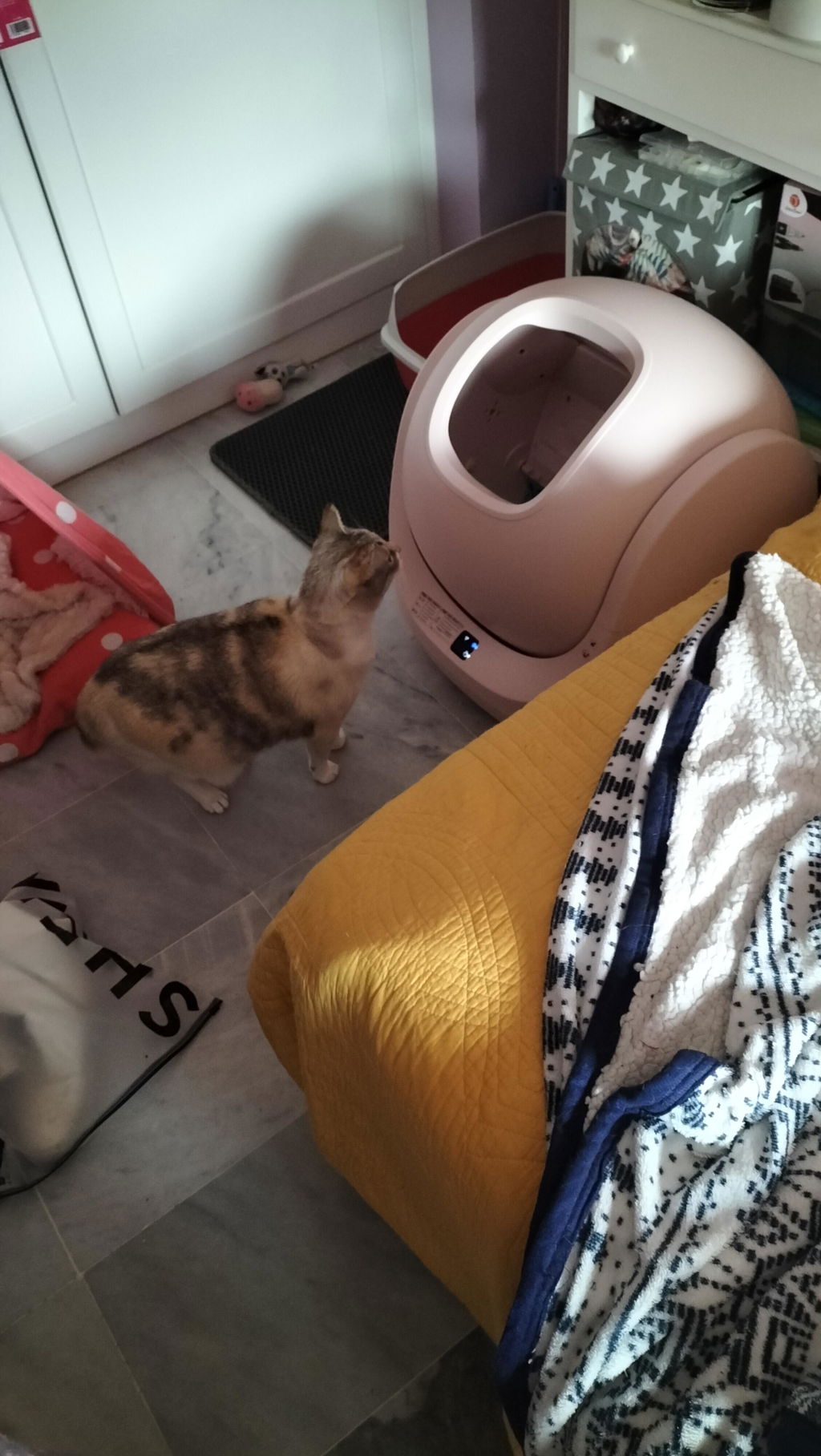 CATLINK Baymax Sakura hiekkalaatikko itsepuhdistuva rampilla pinkki