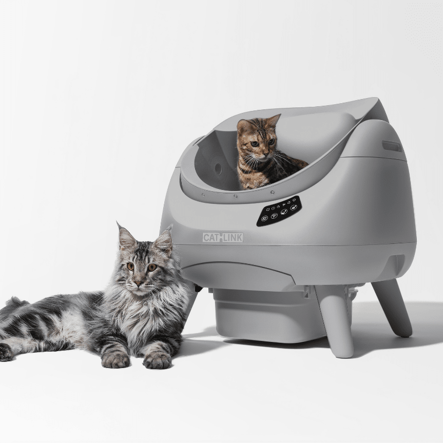 CATLINK Open-X Lite avoin hiekkalaatikko 12 l vaaleanharmaa