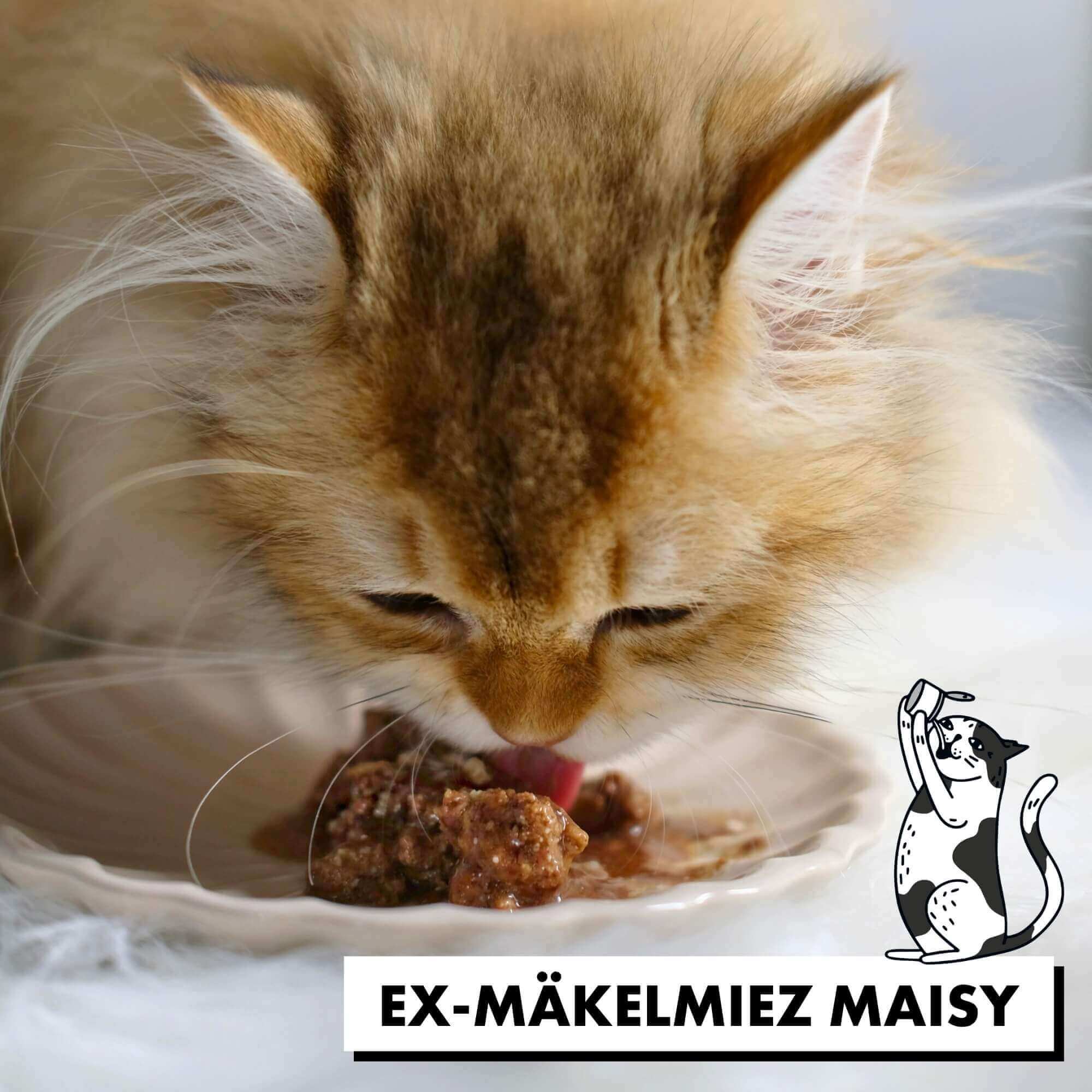 STRAYZ Nauta-punajuuri kissan märkäruoka kastikkeessa 200 g